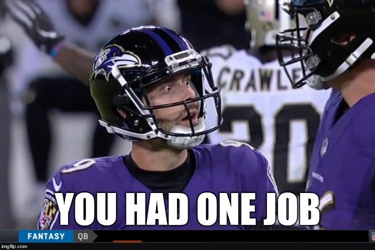 Justin Tucker's Fans' reaction | YOU HAD ONE JOB | image tagged in you had one job,football,nfl football,baltimore ravens,missed the point,football meme | made w/ Imgflip meme maker