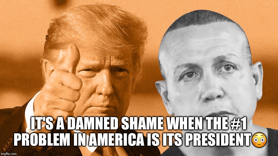 The #1 problem in America is its president. | IT'S A DAMNED SHAME WHEN THE #1 PROBLEM IN AMERICA IS ITS PRESIDENT😳 | image tagged in donald trump,racist,cesar sayoc,terrorist,terrorism,bomber | made w/ Imgflip meme maker