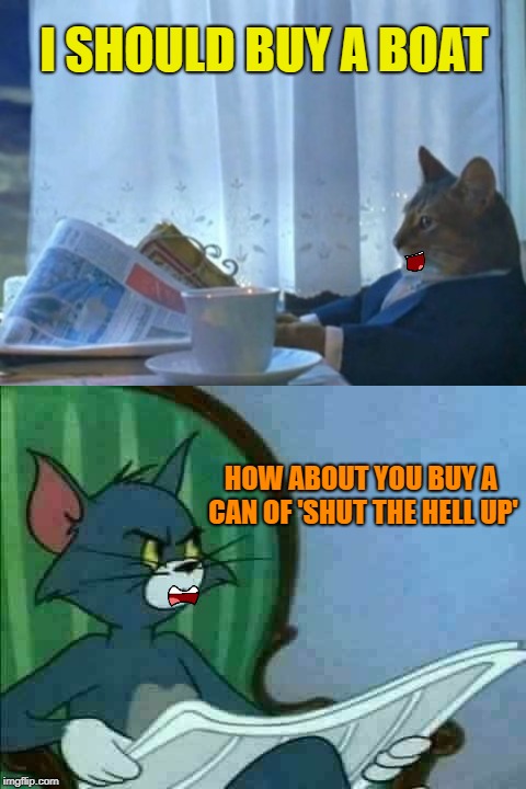 Pipe down when I'm trying to read | I SHOULD BUY A BOAT; HOW ABOUT YOU BUY A CAN OF 'SHUT THE HELL UP' | image tagged in funny memes,cats,i should buy a boat cat,tom | made w/ Imgflip meme maker