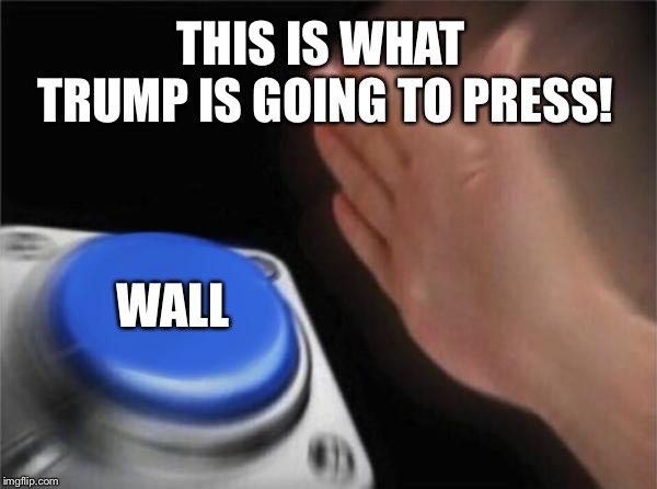 Blank Nut Button | THIS IS WHAT TRUMP IS GOING TO PRESS! WALL | image tagged in memes,blank nut button | made w/ Imgflip meme maker