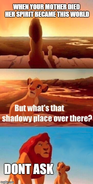 Simba Shadowy Place | WHEN YOUR MOTHER DIED HER SPIRIT BECAME THIS WORLD; DONT ASK | image tagged in memes,simba shadowy place | made w/ Imgflip meme maker