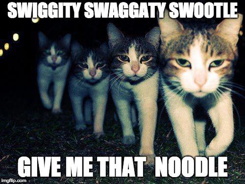 Wrong Neighboorhood Cats | SWIGGITY SWAGGATY SWOOTLE; GIVE ME THAT  NOODLE | image tagged in memes,wrong neighboorhood cats | made w/ Imgflip meme maker