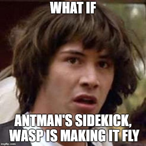 Conspiracy Keanu Meme | WHAT IF ANTMAN'S SIDEKICK, WASP IS MAKING IT FLY | image tagged in memes,conspiracy keanu | made w/ Imgflip meme maker