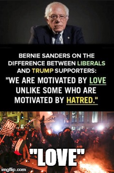 Love sure is a funny word these days! | "LOVE" | image tagged in memes,politics,occupy democrats,bernie sanders,antifa,trump | made w/ Imgflip meme maker