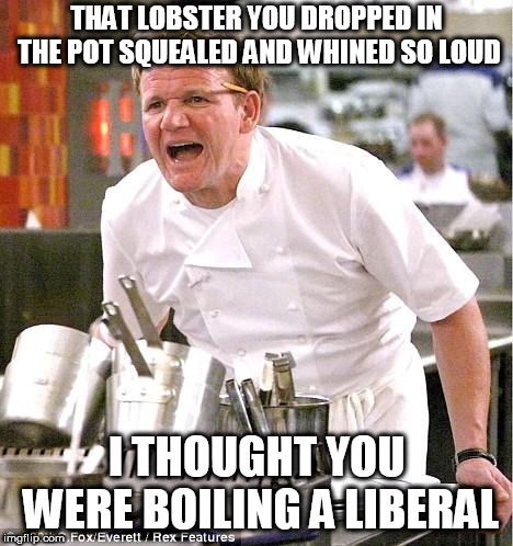 Sometimes you just can't tell which is which | THAT LOBSTER YOU DROPPED IN THE POT SQUEALED AND WHINED SO LOUD; I THOUGHT YOU WERE BOILING A LIBERAL | image tagged in memes,chef gordon ramsay,butthurt liberals,liberal tears | made w/ Imgflip meme maker