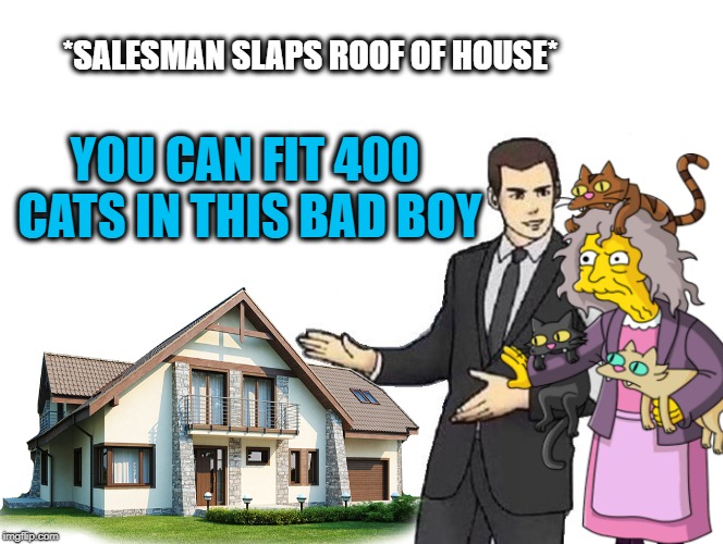 Crazy Cat Lady buys house |  *SALESMAN SLAPS ROOF OF HOUSE*; YOU CAN FIT 400 CATS IN THIS BAD BOY | image tagged in car salesman slaps roof of car,funny memes,crazy cat lady,cats,house | made w/ Imgflip meme maker