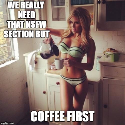 I think the mods think I'm a bad role model. They haven't approved a meme for me in a long time. They are no sexier than thisone | WE REALLY NEED THAT NSFW SECTION BUT; COFFEE FIRST | image tagged in women,nsfw,bikini,ok  but first coffee | made w/ Imgflip meme maker