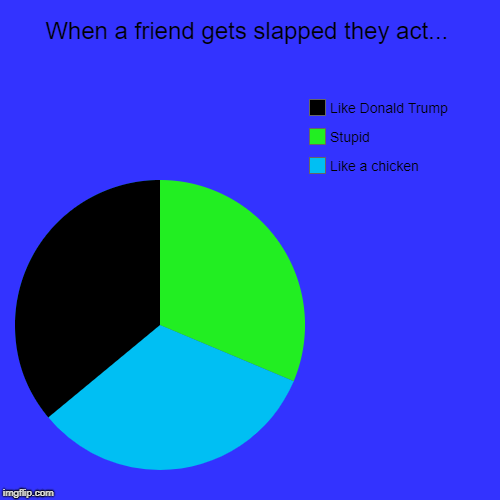 When a friend gets slapped they act... | Like a chicken, Stupid, Like Donald Trump | image tagged in funny,pie charts | made w/ Imgflip chart maker