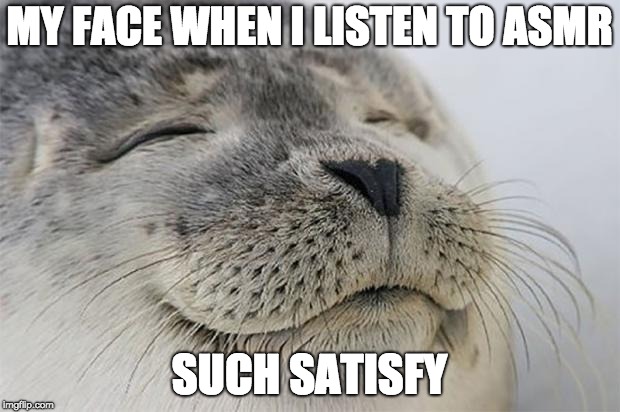 Satisfied Seal Meme | MY FACE WHEN I LISTEN TO ASMR; SUCH SATISFY | image tagged in memes,satisfied seal | made w/ Imgflip meme maker