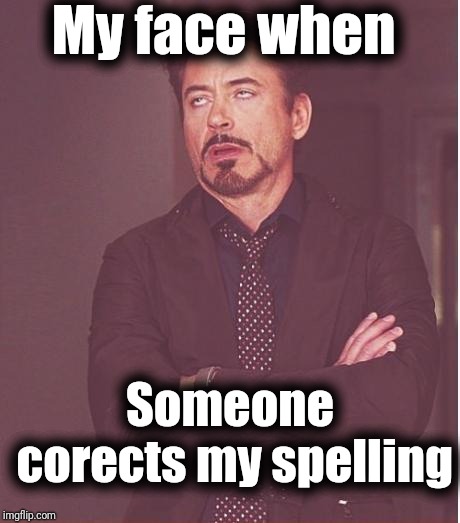 Sorry we can't all spell as good as you! | My face when; Someone corects my spelling | image tagged in memes,face you make robert downey jr | made w/ Imgflip meme maker