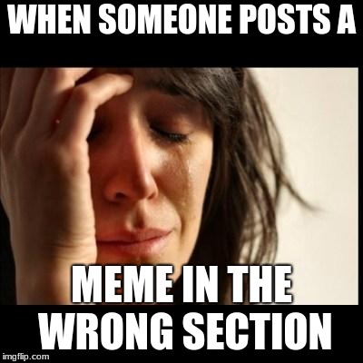Sad girl meme | WHEN SOMEONE POSTS A; MEME IN THE WRONG SECTION | image tagged in sad girl meme | made w/ Imgflip meme maker