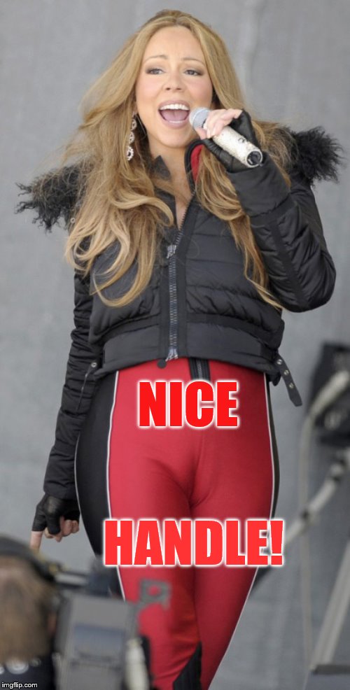 Camel toe  | NICE HANDLE! | image tagged in camel toe | made w/ Imgflip meme maker
