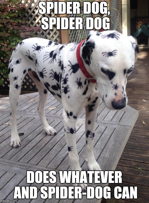 Spider Dog | SPIDER DOG, SPIDER DOG DOES WHATEVER AND SPIDER-DOG CAN | image tagged in spider dog | made w/ Imgflip meme maker