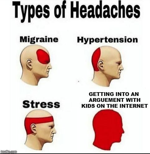 Types of Headaches meme | GETTING INTO AN ARGUEMENT WITH KIDS ON THE INTERNET | image tagged in types of headaches meme | made w/ Imgflip meme maker