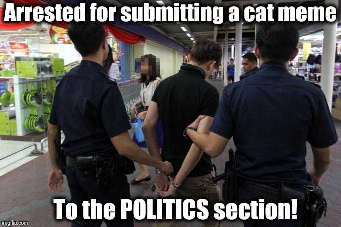 More arrests to follow | Arrested for submitting a cat meme; To the POLITICS section! | image tagged in politics | made w/ Imgflip meme maker
