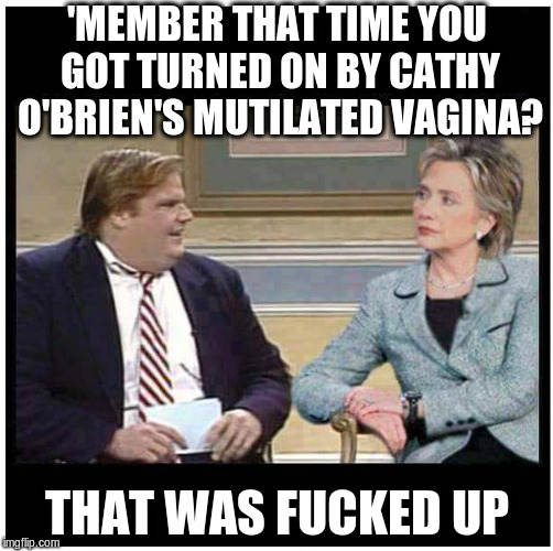 Awesome Chris Farley | 'MEMBER THAT TIME YOU GOT TURNED ON BY CATHY O'BRIEN'S MUTILATED VAGINA? THAT WAS FUCKED UP | image tagged in awesome chris farley | made w/ Imgflip meme maker