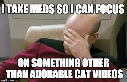 Captain Picard Facepalm | I TAKE MEDS SO I CAN FOCUS; ON SOMETHING OTHER THAN ADORABLE CAT VIDEOS | image tagged in memes,captain picard facepalm | made w/ Imgflip meme maker