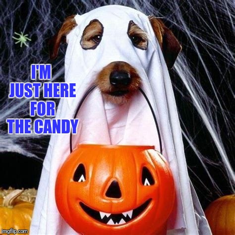 I'M JUST HERE FOR THE CANDY | made w/ Imgflip meme maker