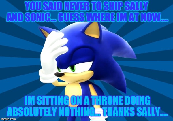 Sonic and Sally don't mix | YOU SAID NEVER TO SHIP SALLY AND SONIC... GUESS WHERE IM AT NOW.... IM SITTING ON A THRONE DOING ABSOLUTELY NOTHING... THANKS SALLY.... | image tagged in unimpressed sonic | made w/ Imgflip meme maker