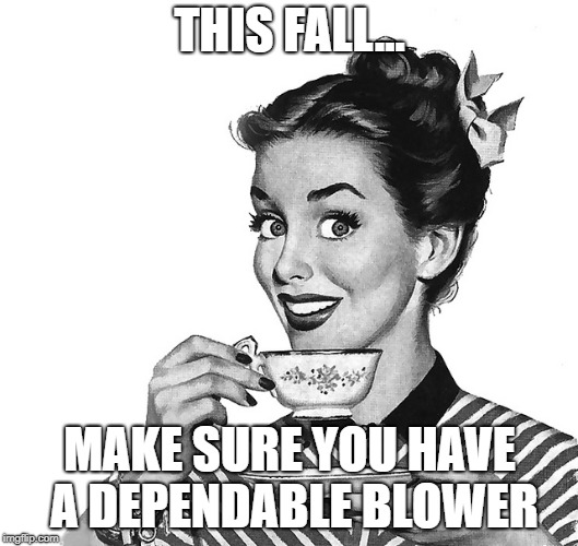 For Those Autumn Leaves, Of Course | THIS FALL... MAKE SURE YOU HAVE A DEPENDABLE BLOWER | image tagged in 50s woman,autumn leaves,dependable blower,memes | made w/ Imgflip meme maker