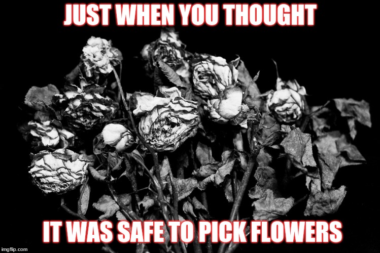 dead flowers | JUST WHEN YOU THOUGHT; IT WAS SAFE TO PICK FLOWERS | image tagged in dead flowers | made w/ Imgflip meme maker