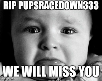 Sad Baby |  RIP PUPSRACEDOWN333; WE WILL MISS YOU | image tagged in memes,sad baby | made w/ Imgflip meme maker