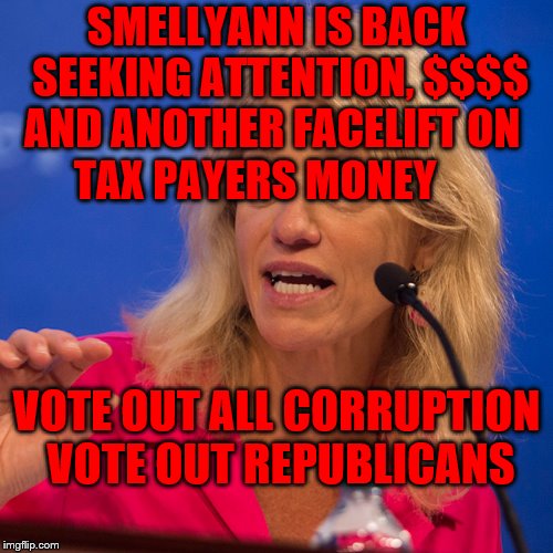 kellyanne | SMELLYANN IS BACK SEEKING ATTENTION, $$$$ AND ANOTHER FACELIFT ON      TAX PAYERS MONEY; VOTE OUT ALL CORRUPTION VOTE OUT REPUBLICANS | image tagged in kellyanne | made w/ Imgflip meme maker