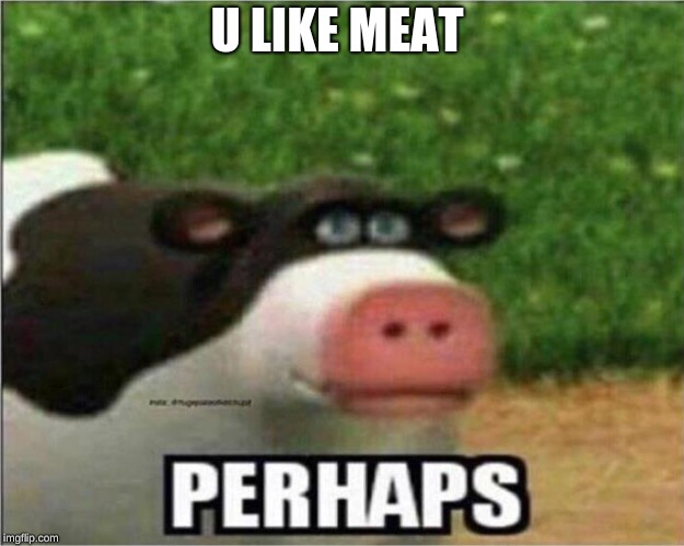Perhaps Cow | U LIKE MEAT | image tagged in perhaps cow | made w/ Imgflip meme maker