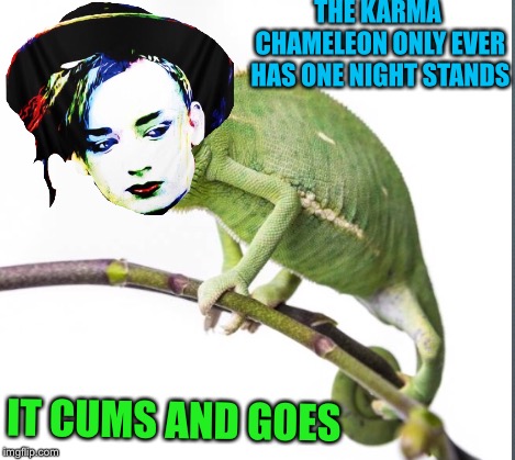 We all know a panda eats shoots and leaves , but .... | THE KARMA CHAMELEON ONLY EVER HAS ONE NIGHT STANDS; IT CUMS AND GOES | image tagged in boy george,karma chamelion,80s music | made w/ Imgflip meme maker