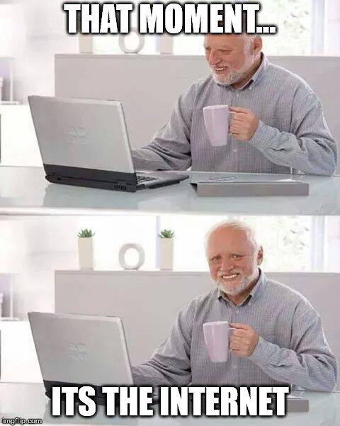 Hide the Pain Harold | THAT MOMENT... ITS THE INTERNET | image tagged in memes,hide the pain harold | made w/ Imgflip meme maker