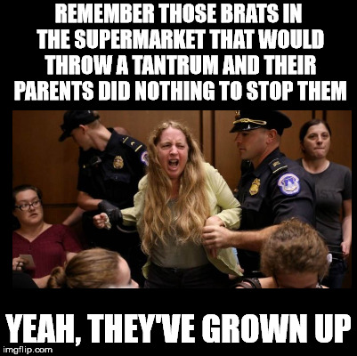 Blank | REMEMBER THOSE BRATS IN THE SUPERMARKET THAT WOULD THROW A TANTRUM AND THEIR PARENTS DID NOTHING TO STOP THEM; YEAH, THEY'VE GROWN UP | image tagged in blank | made w/ Imgflip meme maker