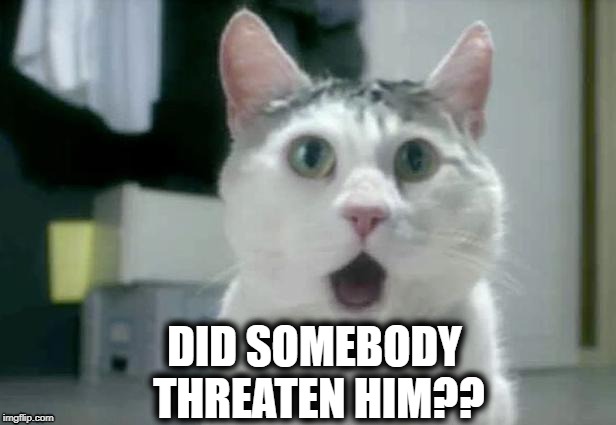 OMG Cat Meme | DID SOMEBODY THREATEN HIM?? | image tagged in memes,omg cat | made w/ Imgflip meme maker