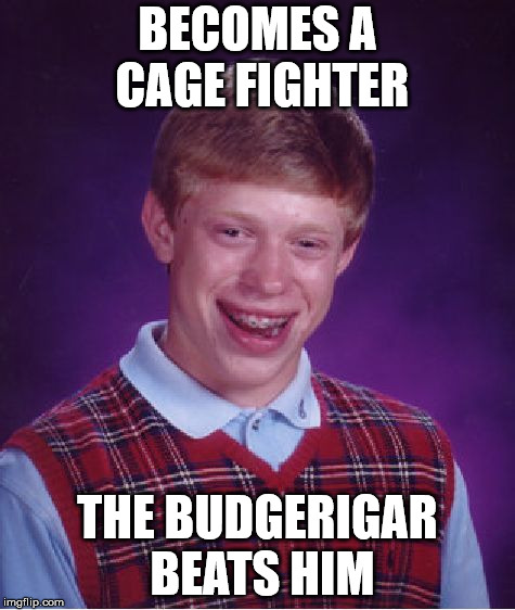 Bad Luck Brian | BECOMES A CAGE FIGHTER; THE BUDGERIGAR BEATS HIM | image tagged in memes,bad luck brian | made w/ Imgflip meme maker