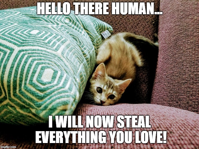 HELLO THERE HUMAN... I WILL NOW STEAL EVERYTHING YOU LOVE! | made w/ Imgflip meme maker