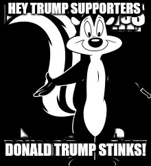 Memes | HEY TRUMP SUPPORTERS; DONALD TRUMP STINKS! | image tagged in donald trump | made w/ Imgflip meme maker
