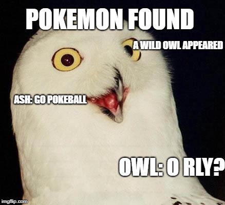 O RLY? | POKEMON FOUND; A WILD OWL APPEARED; ASH: GO POKEBALL; OWL: O RLY? | image tagged in o rly | made w/ Imgflip meme maker