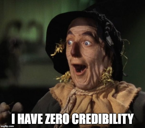 Straw Man - What a Great Idea | I HAVE ZERO CREDIBILITY | image tagged in straw man - what a great idea | made w/ Imgflip meme maker