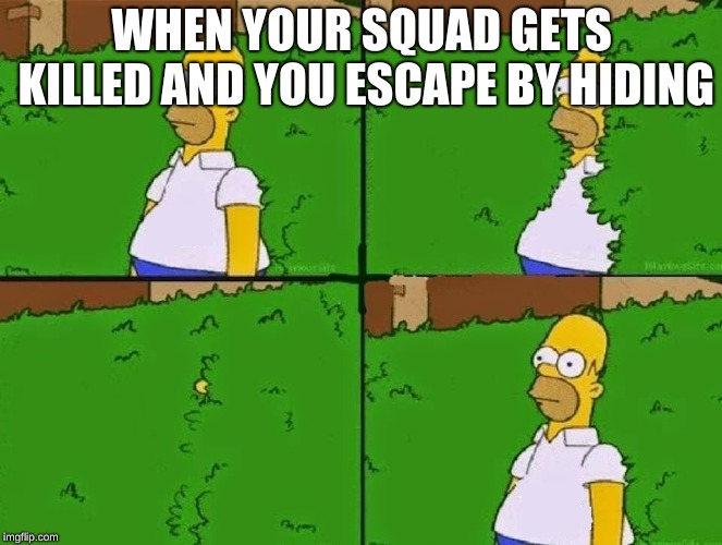 Homer in bush out | WHEN YOUR SQUAD GETS KILLED AND YOU ESCAPE BY HIDING | image tagged in homer in bush out | made w/ Imgflip meme maker