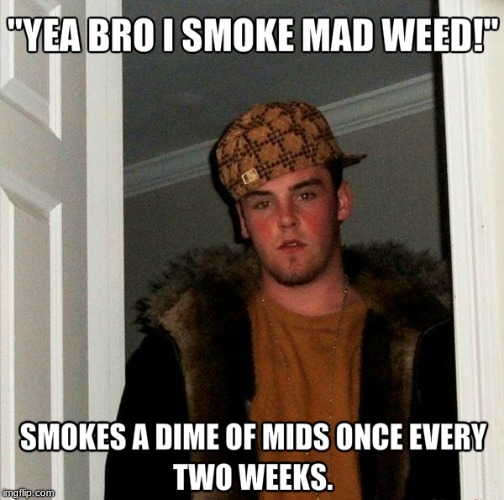 pot head did it again | image tagged in bad luck brian,funny,yo dawg heard you | made w/ Imgflip meme maker