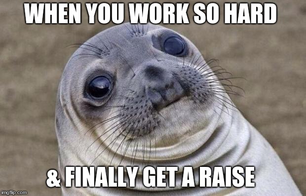 Awkward Moment Sealion | WHEN YOU WORK SO HARD; & FINALLY GET A RAISE | image tagged in memes,awkward moment sealion | made w/ Imgflip meme maker