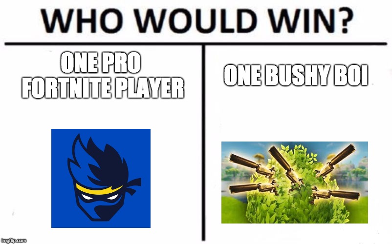 Who Would Win? | ONE PRO FORTNITE PLAYER; ONE BUSHY BOI | image tagged in memes,who would win | made w/ Imgflip meme maker