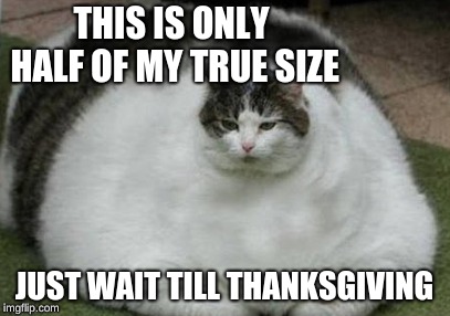 THIS IS ONLY HALF OF MY TRUE SIZE; JUST WAIT TILL THANKSGIVING | image tagged in fatforever | made w/ Imgflip meme maker