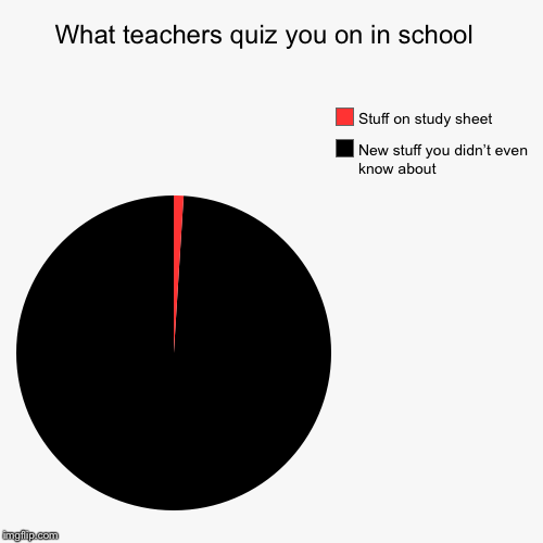 What teachers quiz you on in school  | New stuff you didn’t even know about, Stuff on study sheet | image tagged in funny,pie charts | made w/ Imgflip chart maker