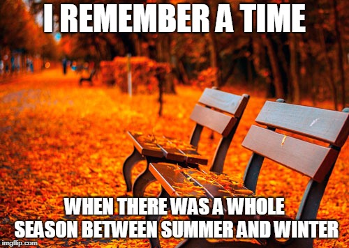 Not that i feel hot or cold about it... | I REMEMBER A TIME; WHEN THERE WAS A WHOLE SEASON BETWEEN SUMMER AND WINTER | image tagged in fall | made w/ Imgflip meme maker