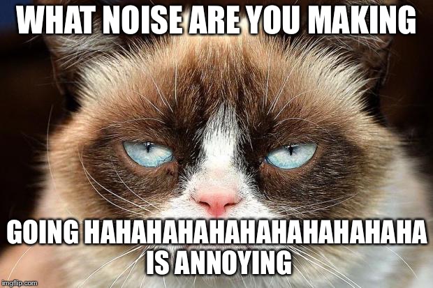 Grumpy Cat Not Amused Meme | WHAT NOISE ARE YOU MAKING; GOING HAHAHAHAHAHAHAHAHAHAHA IS ANNOYING | image tagged in memes,grumpy cat not amused,grumpy cat | made w/ Imgflip meme maker