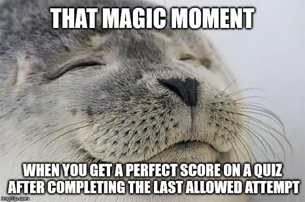 If you have been struggling to pass a quiz you'll understand how awesome that moment is | THAT MAGIC MOMENT; WHEN YOU GET A PERFECT SCORE ON A QUIZ AFTER COMPLETING THE LAST ALLOWED ATTEMPT | image tagged in memes,satisfied seal,student life,college humor | made w/ Imgflip meme maker
