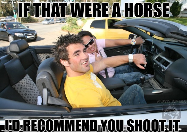 IF THAT WERE A HORSE I'D RECOMMEND YOU SHOOT IT | made w/ Imgflip meme maker