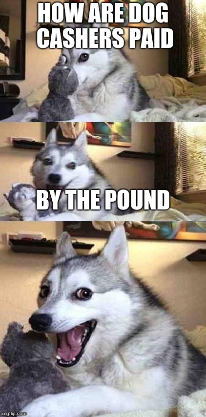 Dog Joke | HOW ARE DOG CASHERS PAID; BY THE POUND | image tagged in dog joke | made w/ Imgflip meme maker