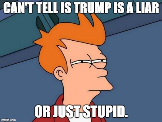 Futurama Fry Meme | CAN'T TELL IS TRUMP IS A LIAR; OR JUST STUPID. | image tagged in memes,futurama fry | made w/ Imgflip meme maker