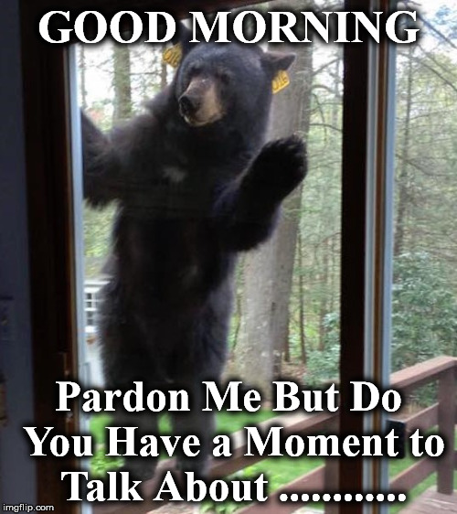 GOOD MORNING; Pardon Me But Do You Have a Moment to Talk About ............ | image tagged in bearatwindow | made w/ Imgflip meme maker